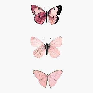 Meet your Posher, Melody